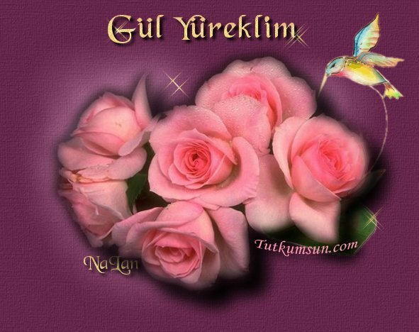 siir006.jpg (56042 bytes)